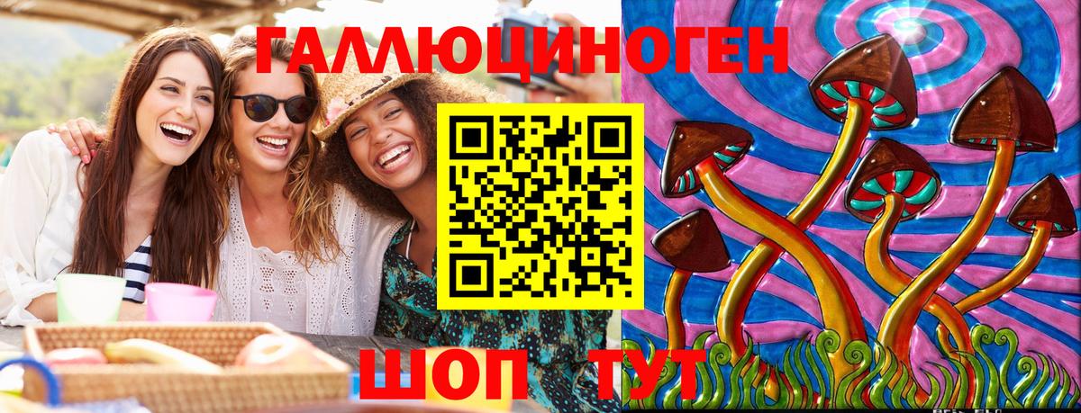 Псилоцибиновые грибы GOLDEN TEACHER Краснознаменск